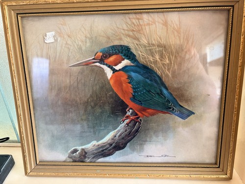 Kingfisher bird signed print - kingfisher,