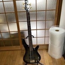 IBANEZ SDGR Series 4-String