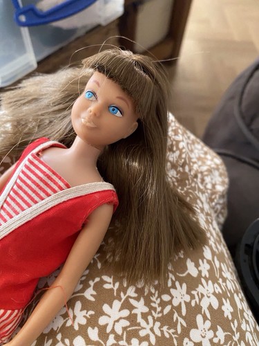 Beautiful skipper doll - skipper,