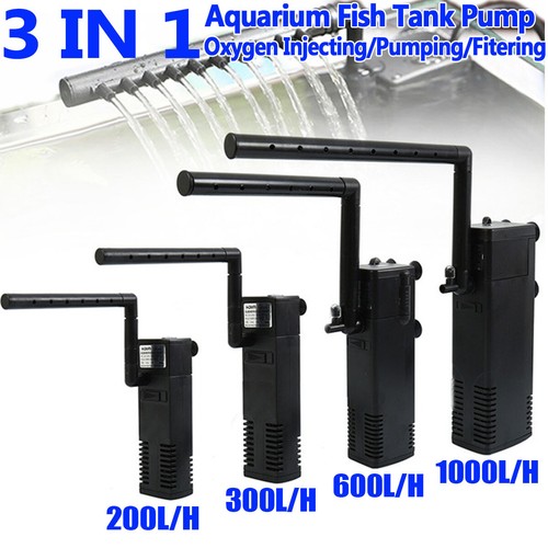Internal aquarium fish - fish, tank