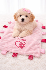 PERSONALISED DOG PUPPY PACKS