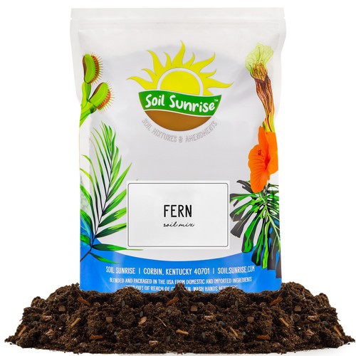 Fern plant potting - fern, mix