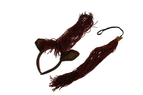 Party cosplay costume fancy - party,