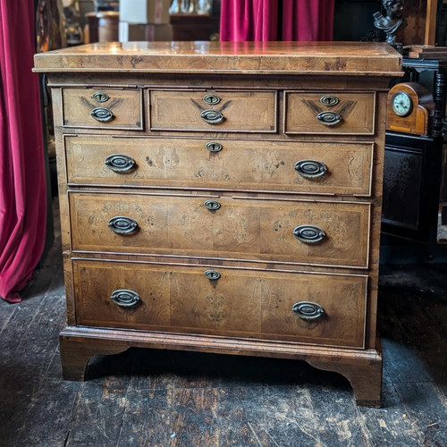 Victorian burr walnut chest - victorian,