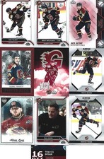 10 ICE HOCKEY CARDS GUILDFORD FLAMES 2024/25  - TALBOT, HOOK, JACOME + 7