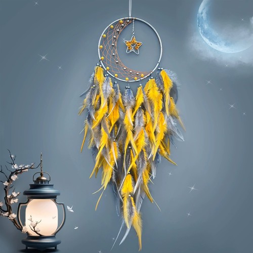 Luxury crystal star feather - luxury,