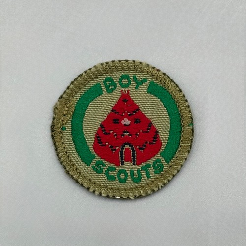 Boy scouts proficiency - boy, badge
