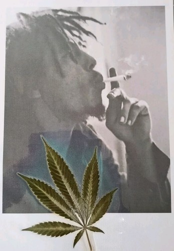Bob marley laminated a4 - bob,