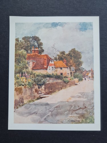 Antique 1907 print - ,