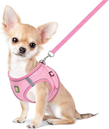 Feimax dog harness and - feimax,