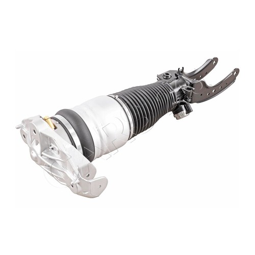 Front right air spring - right,