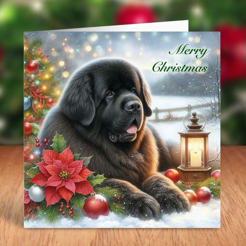 Newfoundland dog christmas - newfoundland,