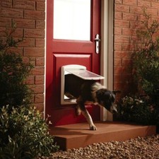 Large Dog Flap Extra XL 2 Way