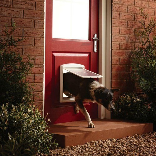 Large dog flap - flap, 2