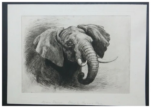 Heywood hardy african elephant - hardy,