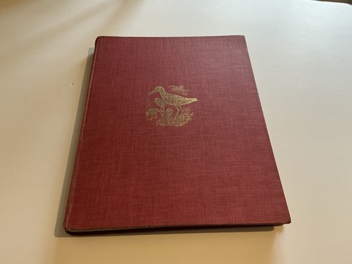 Shorelands summer diary f - by, c