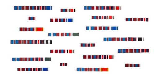 King charles ribbon - charles,