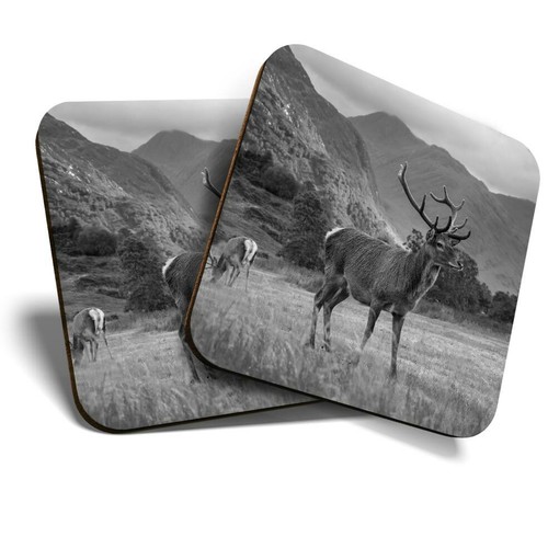 Coasters scottish - x,