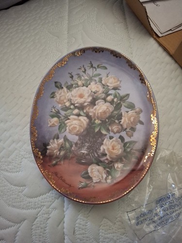 Princess wales collector plate - collector,