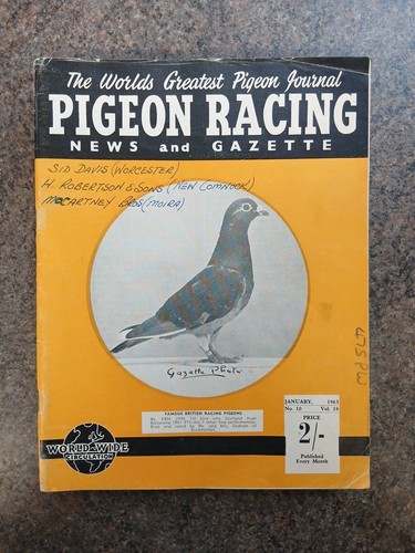 Rare complete 1963 - rare, pigeon