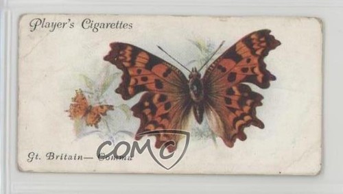1932 player butterflies - 1932,