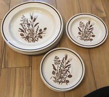 J&G Meakin Country Lane 10”