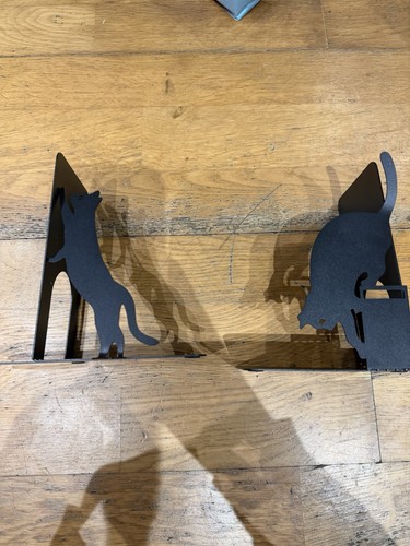 Cat book ends - book,