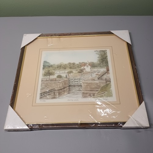 Glyn martin limited edition - glyn,
