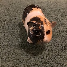 Winstanley Hamster/guinea pig