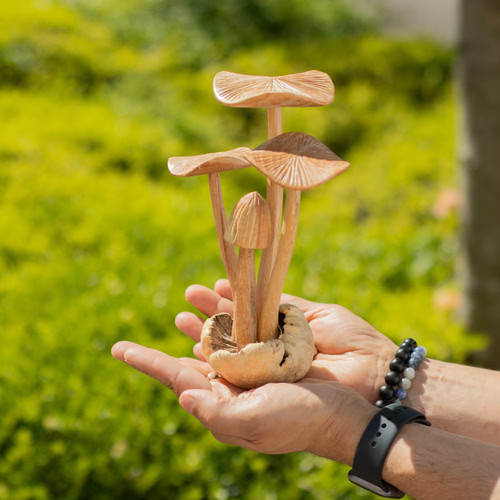 Hand carved wooden mushroom - carved,