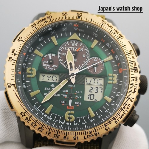 Citizen promaster sky - citizen,