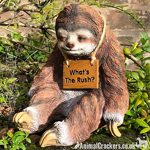 Sloth removable whats - removable, the
