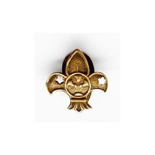 Vintage Egyption Boy Scouts Lapel badge Badge