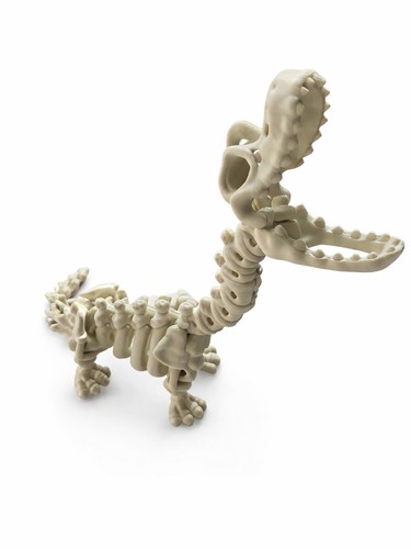 Skeleton brachiosaurus - ,