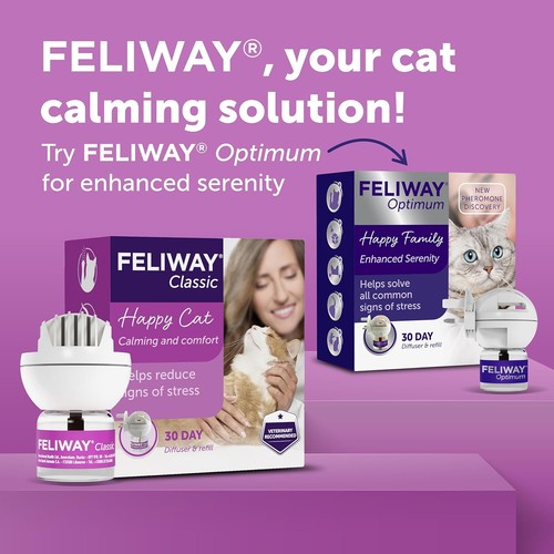 Feliway classic day cat - day,