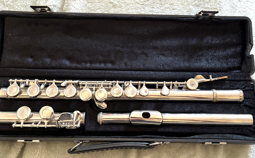 Flute carry case - in, /