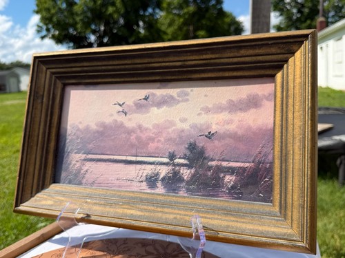Mallard ducks landscape - mallard,
