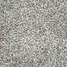 Sunflower hearts kg - sunflower,