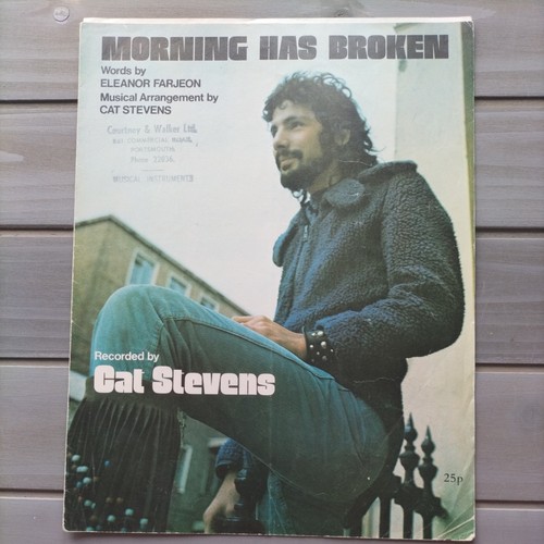 Vintage 1971 cat stevens - cat,