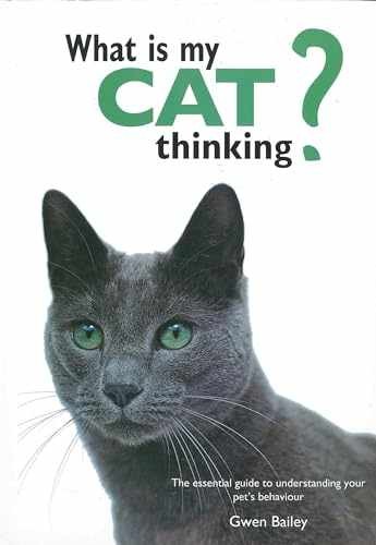 What cat thinking the - my,