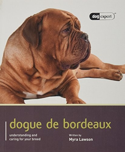 Dogue bordeaux dog expert - dogue,