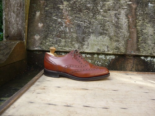 Alfred sargent brogues shoes - alfred,