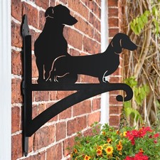 New Dachshund & Jack Russel