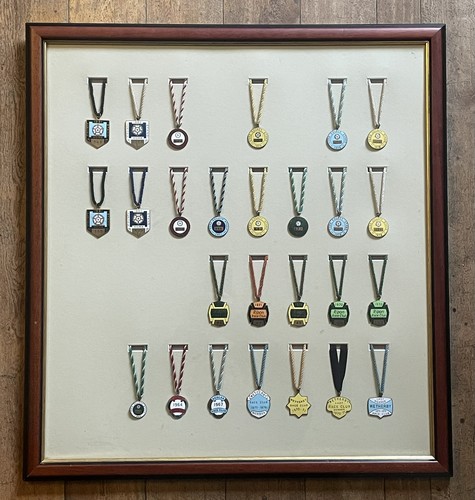 Horse racing enamel members - horse,