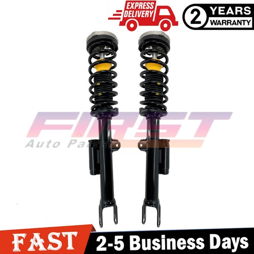 Front shock struts - 2x,