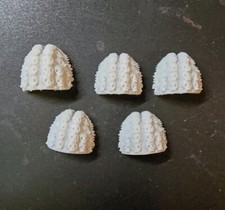 Space Marine Deathwatch