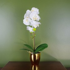 46cm Artificial Orchid White