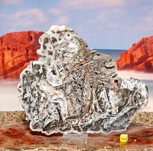Skeletal sphalerite with - skeletal,
