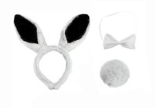 Fluffy Easter Bunny Rabbit