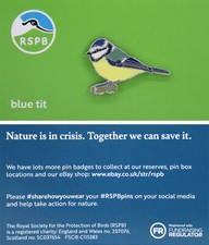 RSPB Pin Badge NIIC Blue tit P03024